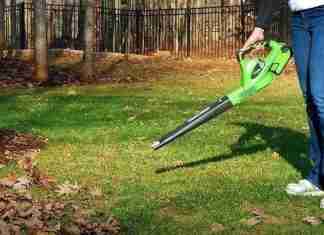 Best Electric Leaf Blowers of 2020