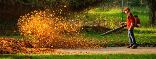 History of Leaf Blowers