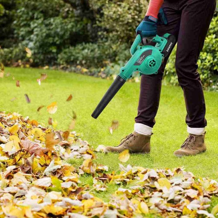 Blow Snow With Kimo Leaf Blower Review