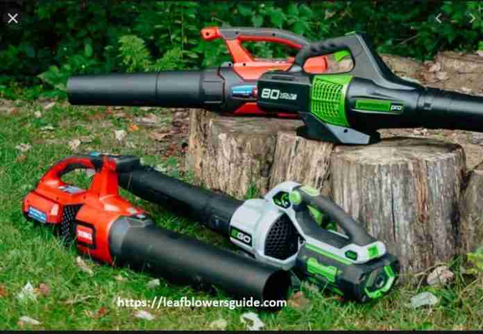 Leaf Blower For a Big And Large Back Yard