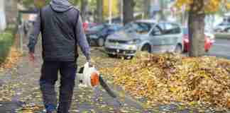 Top 5 Best Leaf Blower For Gravel Driveway in 2020