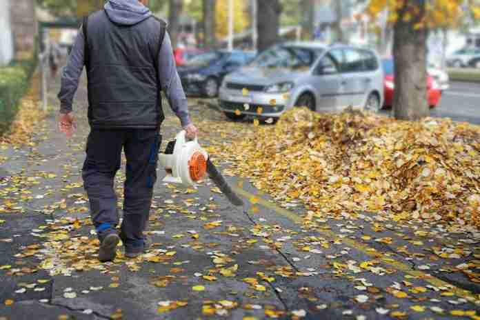 Top 5 Best Leaf Blower For Gravel Driveway in 2022