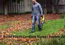 Ryobi P2180 Cordless Blower Review 2020