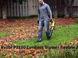 Ryobi P2180 Cordless Blower Review