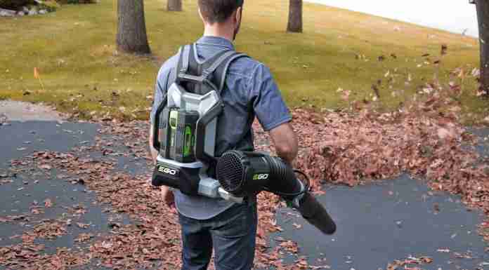 Ego backpack leaf blower Power