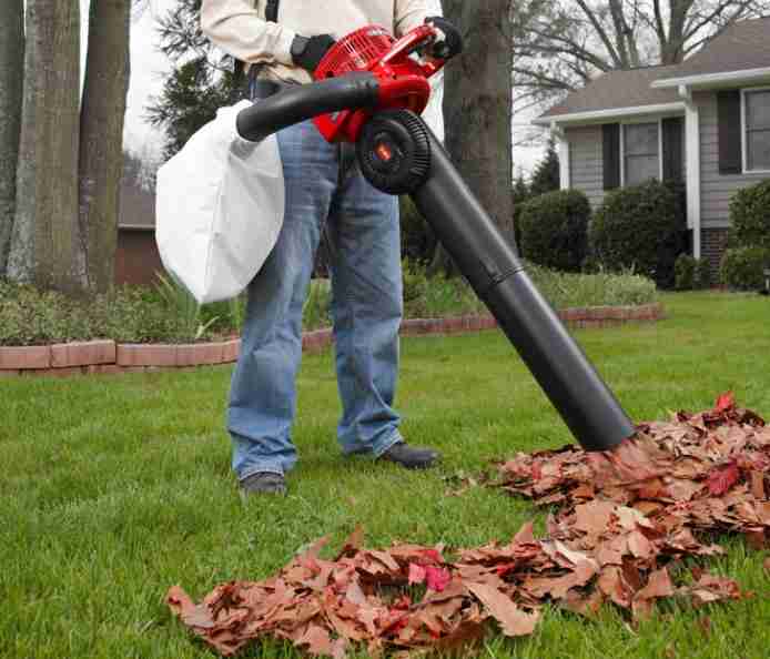 Best Gas Powered Leaf Vacuum Mulcher