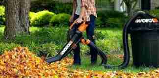 Best Garden VAC for Wet Leaves
