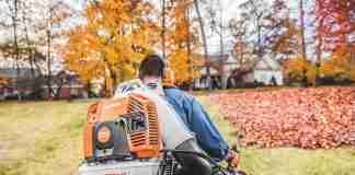 Stihl Leaf Blower Backpack Canada