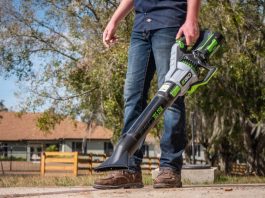 Best Cordless Leaf Blower With Battery And Charger Available in 2022
