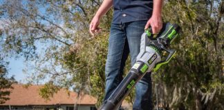 Best Cordless Leaf Blower With Battery And Charger Available in 2022