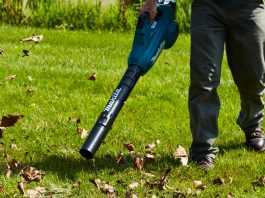 The best Cordless Leaf Blower Reviews