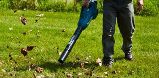 The best Cordless Leaf Blower Reviews