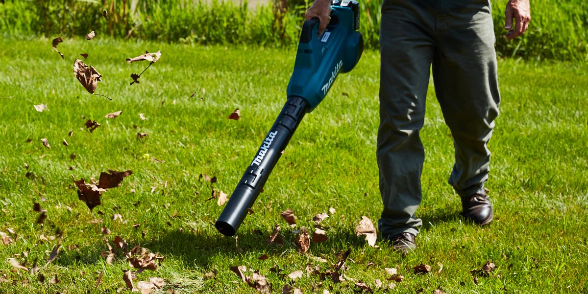 The best Cordless Leaf Blower Reviews