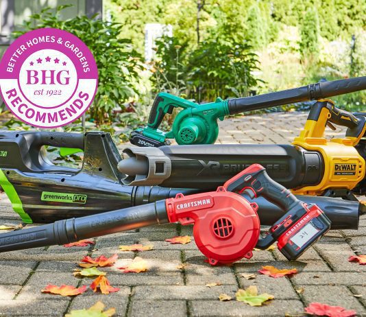 are there environmentally friendly options for leaf blowers 5 scaled