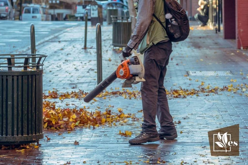 Can I Use A Leaf Blower To Clean My Driveway And Sidewalks?