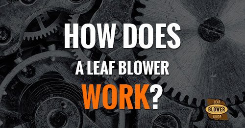 How Does A Leaf Blower Work?
