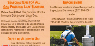how loud are leaf blowers 3