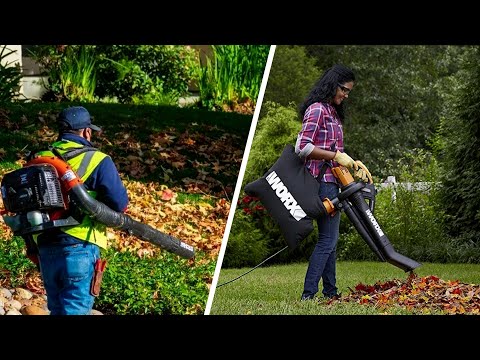 is it better to get a leaf blower or vacuum 4