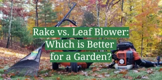 is it better to rake leaves or use a blower 2