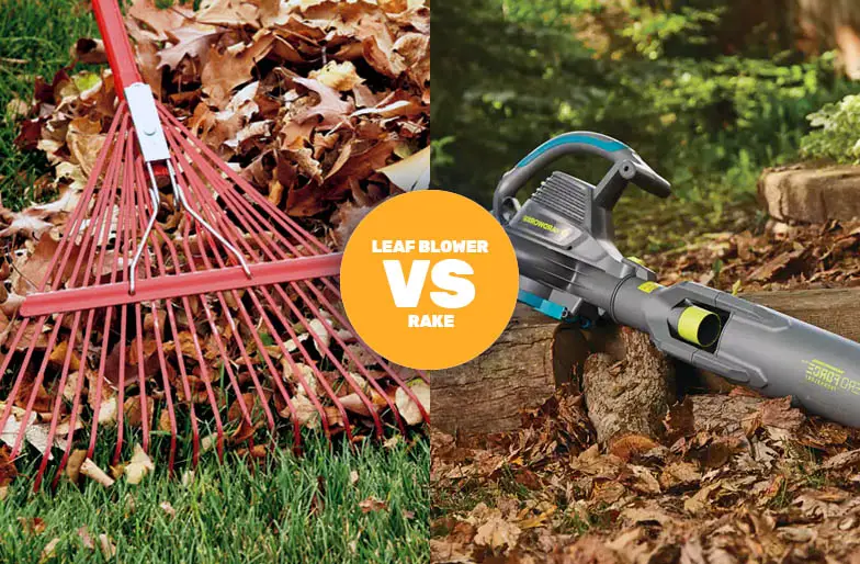 Is It Better To Rake Leaves Or Use A Blower?