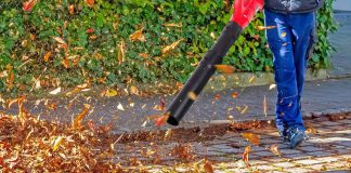 what state is banning gas powered leaf blowers 2