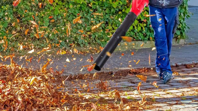 what state is banning gas powered leaf blowers 2