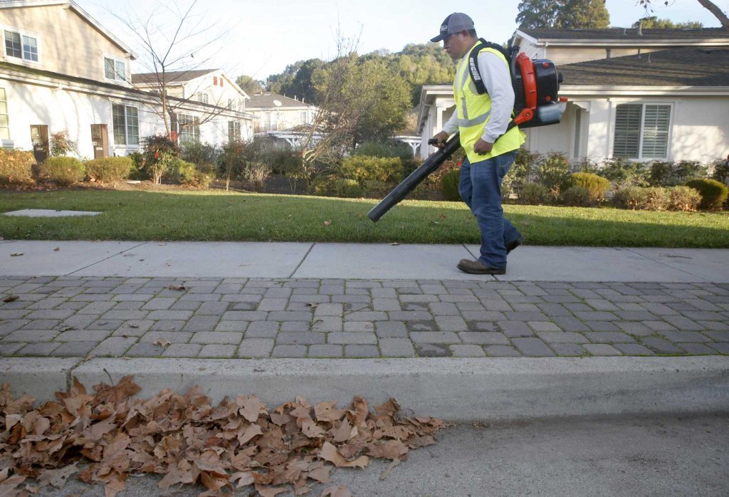 Why Are Cities Banning Leaf Blowers?