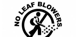 why are cities banning leaf blowers 2