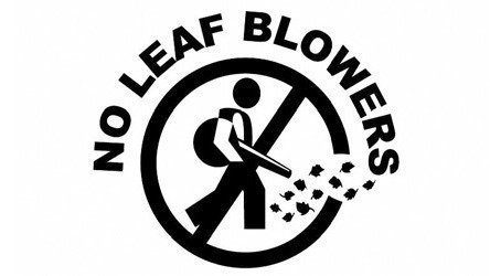 why are cities banning leaf blowers 2