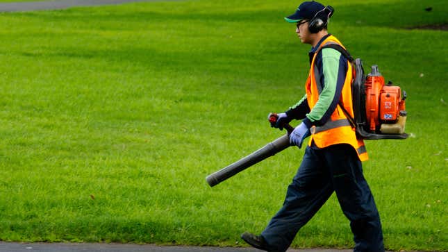 Why Are Cities Banning Leaf Blowers?