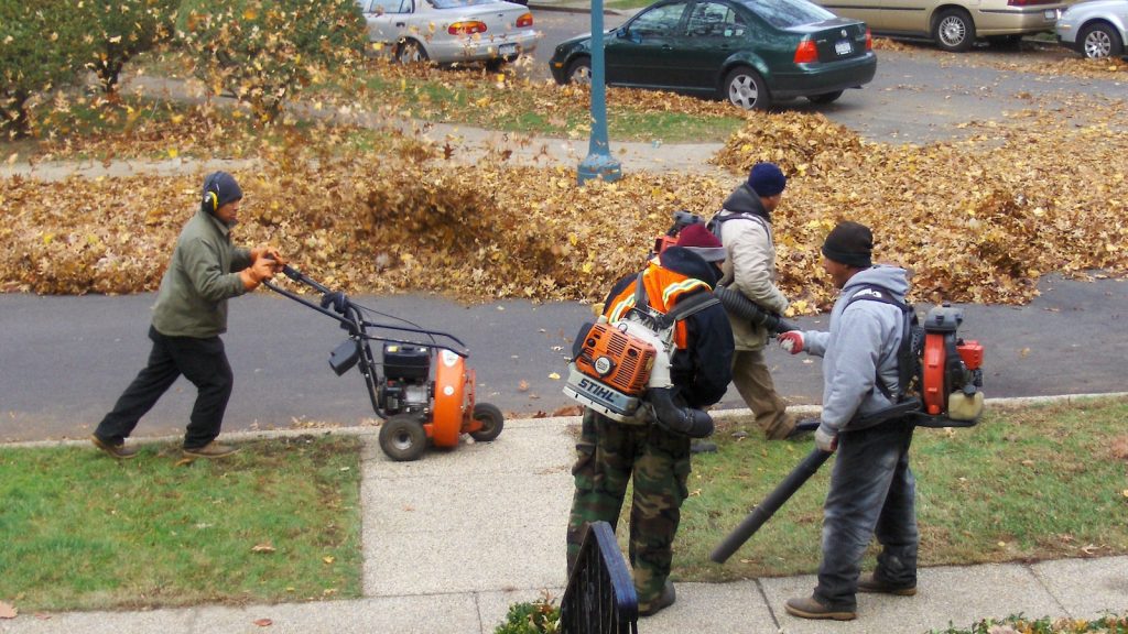 Why Is California Banning Leaf Blowers?