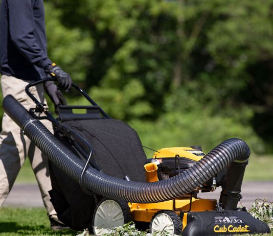 Can Leaf Vacuums Be Used To Clean Up Pine Needles And Small Branches