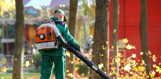 What Are The Negatives Of Leaf Blowers?