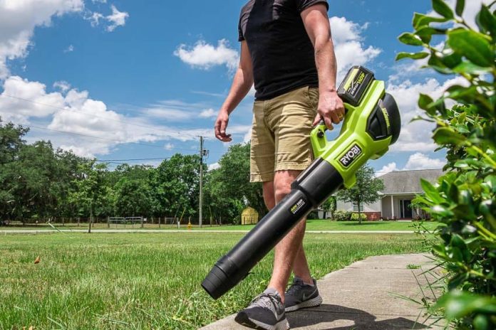 What Is The Advantage Of A Brushless Leaf Blower