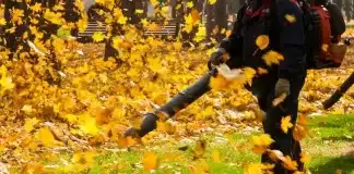 What Time Is Too Early For A Leaf Blower