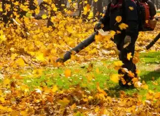 What Time Is Too Early For A Leaf Blower