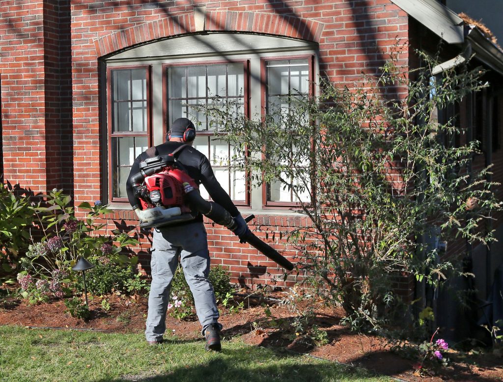 Are Leaf Blowers A Nuisance?