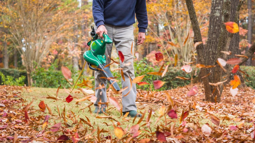 Are Leaf Blowers Effective For Clearing Leaves From Grassy Areas?