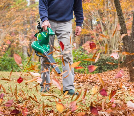 are leaf blowers effective for clearing leaves from grassy areas 4 scaled
