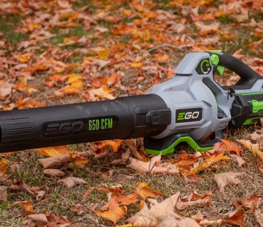 are leaf blowers worth it 5