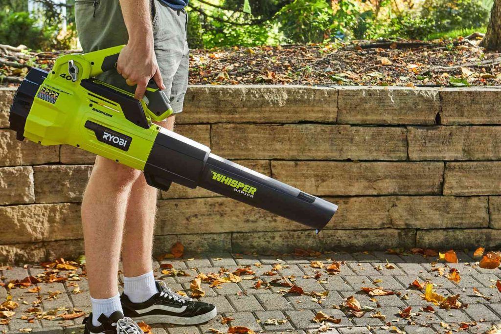 Are There Battery-powered Leaf Blowers?