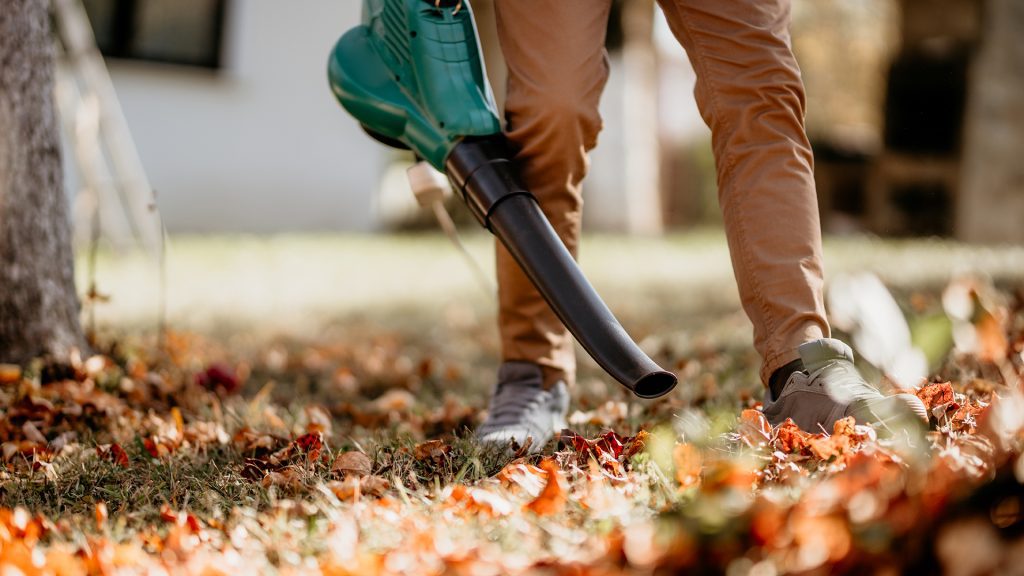 Can I Use A Leaf Blower Indoors For Cleaning?
