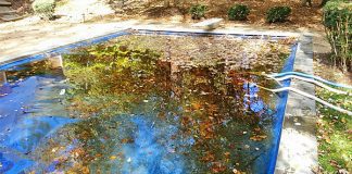 can i use a leaf blower to clear leaves from my pool cover 4