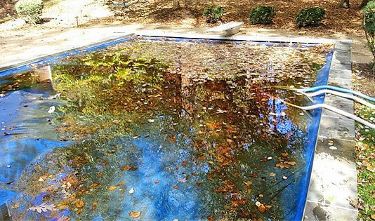 can i use a leaf blower to clear leaves from my pool cover 4