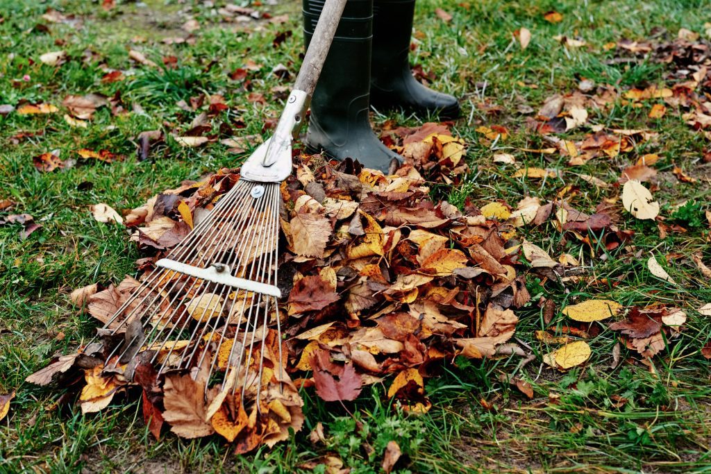 Can Leaf Blowers Damage Plants Or Grass?