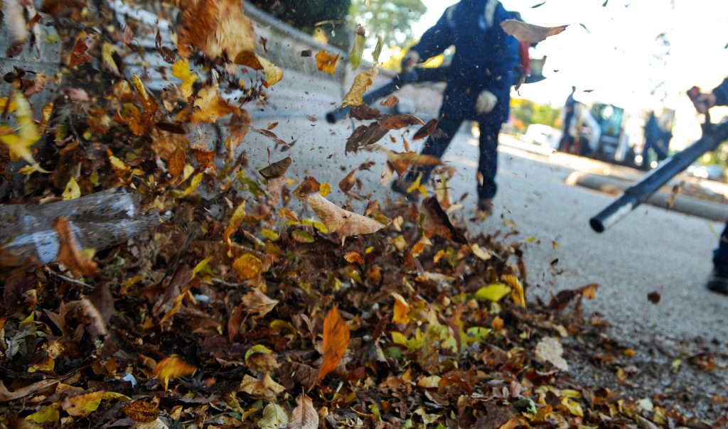 Can Leaf Blowers Damage Plants Or Grass?