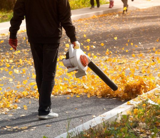 can you use a leaf blower on wet leaves 1