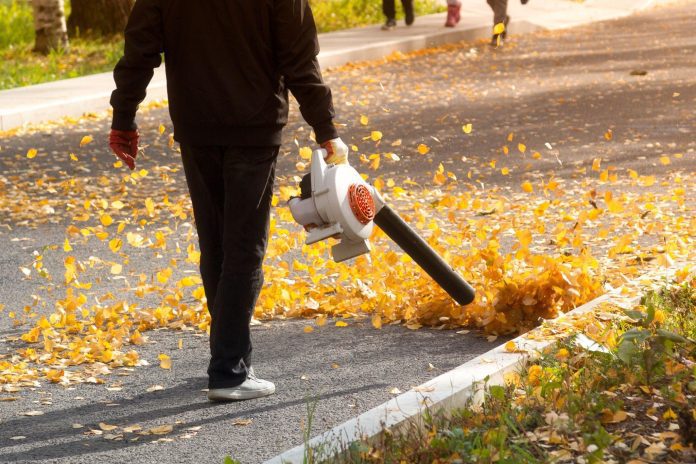 can you use a leaf blower on wet leaves 1