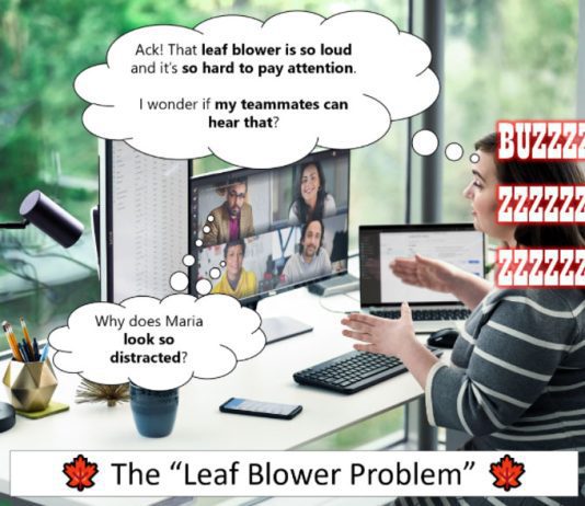 how do i troubleshoot common issues with my leaf blower 5