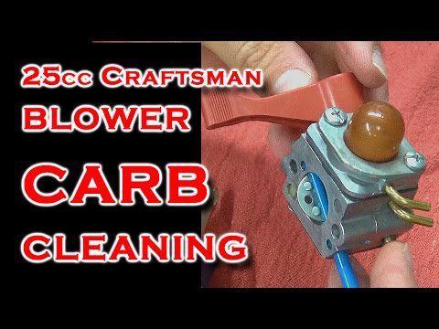 how do you clean a clogged leaf blower carburetor 5